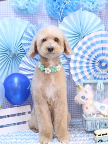 20231104アロマくん